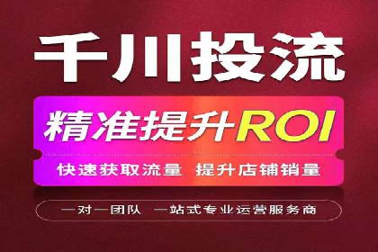 XX行业竞价广告的投放策略与效果分析